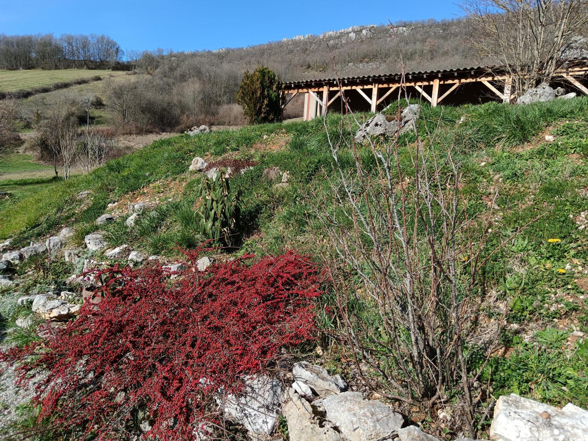 Maison Chaleureuse En Ariege Roquefort-Les-Cascades Exterior foto